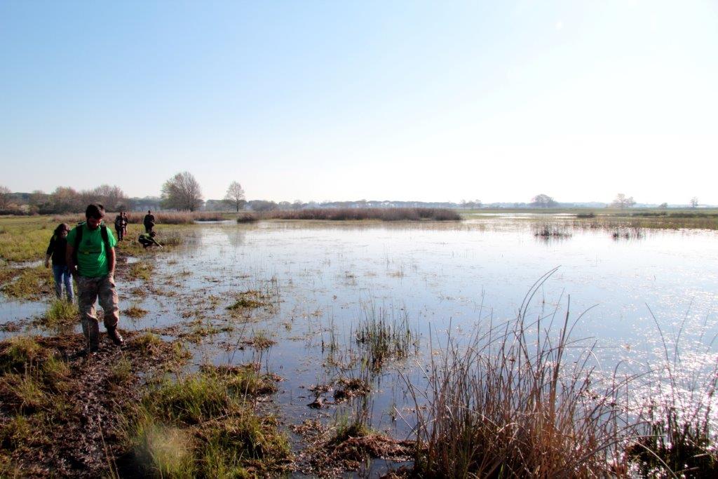 Emys e Natrix nel Parco Regionale MSRM